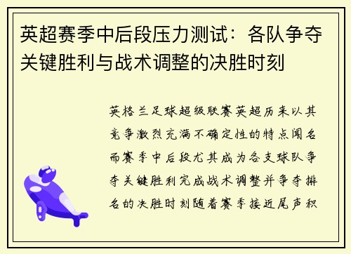 英超赛季中后段压力测试:各队争夺关键胜利与战术调整的决胜时刻 英超赛季中后段压力测试:各队争夺关键胜利与战术调整的决胜时刻
